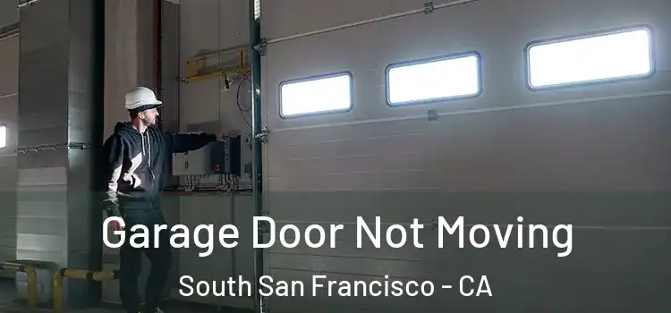  Garage Door Not Moving South San Francisco - CA